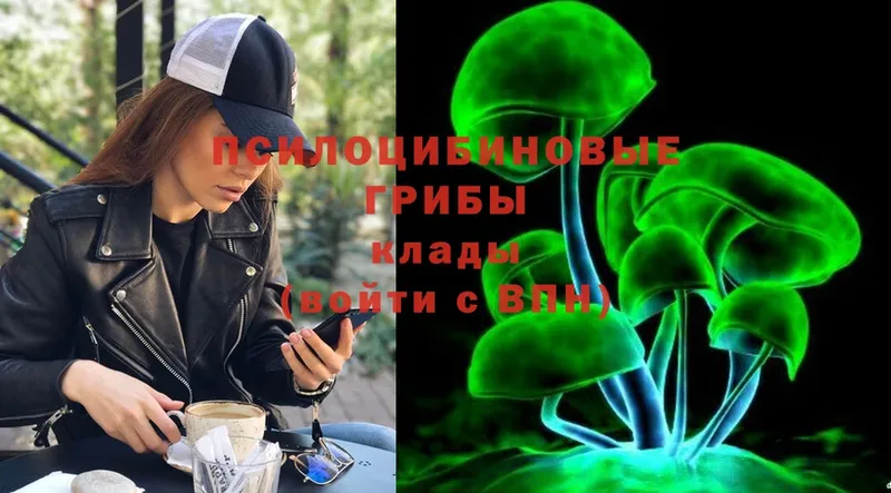 Галлюциногенные грибы Psilocybine cubensis  KRAKEN ТОР  Алексеевка 